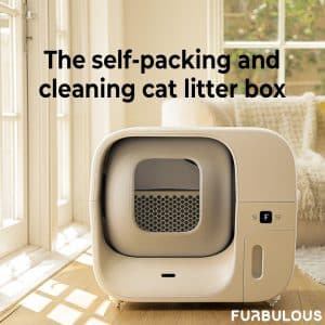 Cats ( IM )