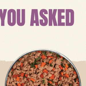 Healthy pet ( IM )