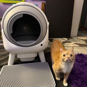 Pets ( IM)