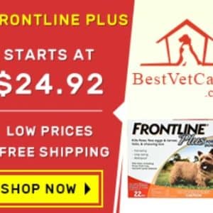 Pet care ( CJ )